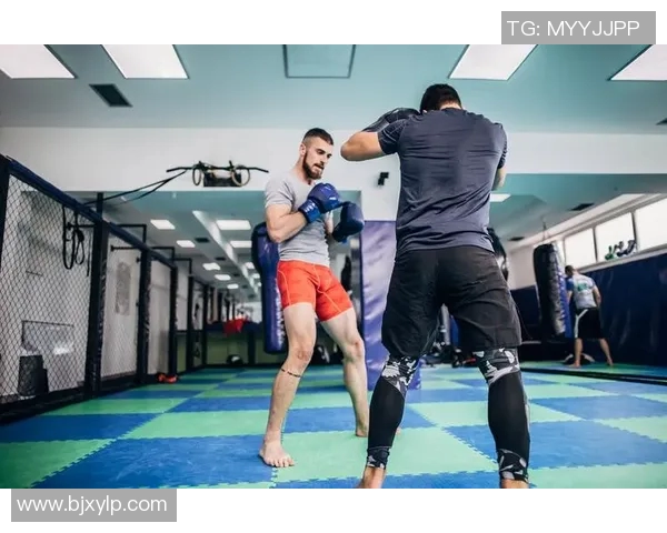 深入解析UFC规则对比赛公平性和选手安全性的影响与重要性